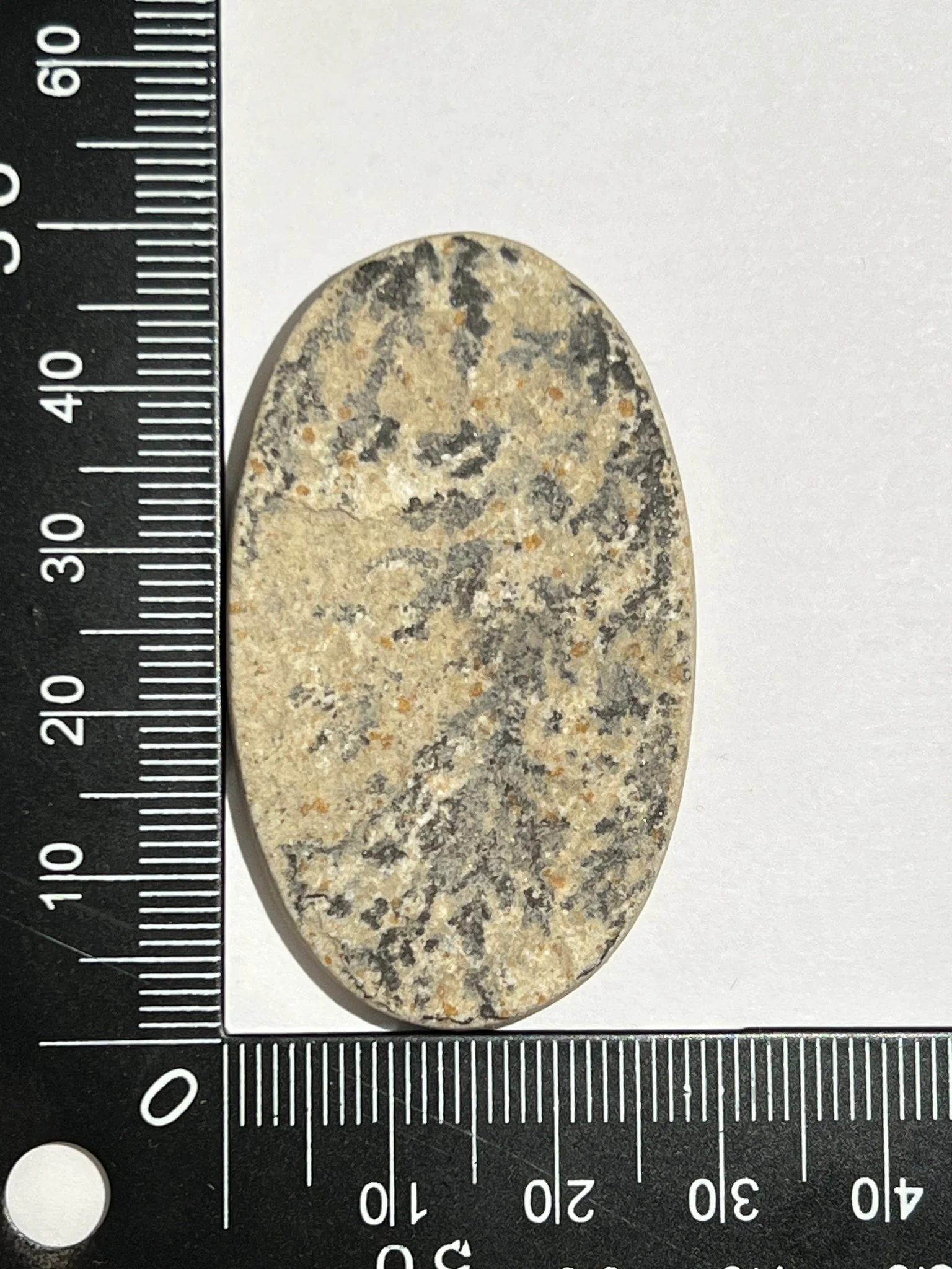 Psilomélane Dendritique n°2 (4,8cm x 2,7cm)